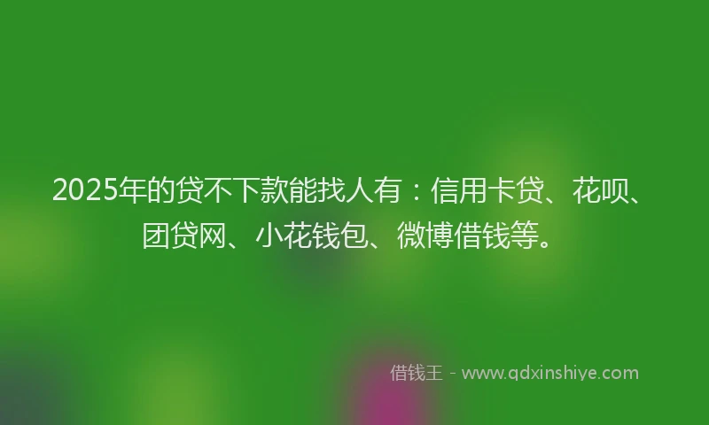 2025年的贷不下款能找人有：信用卡贷、花呗、团贷网、小花钱包、微博借钱等。