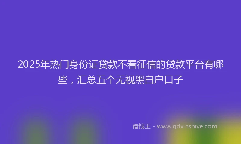 2025年热门身份证贷款不看征信的贷款平台有哪些，汇总五个无视黑白户口子