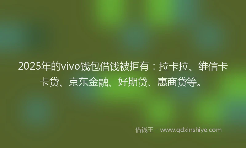 2025年的vivo钱包借钱被拒有:拉卡拉、维信卡卡贷、京东金融、好期贷、惠商贷等。