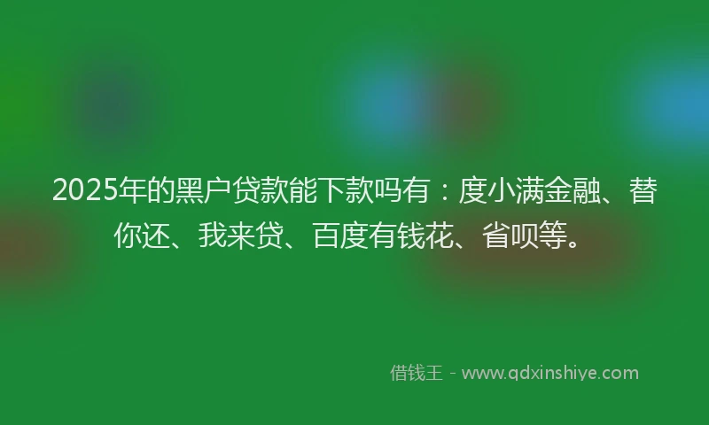 2025年的黑户贷款能下款吗有：度小满金融、替你还、我来贷、百度有钱花、省呗等。