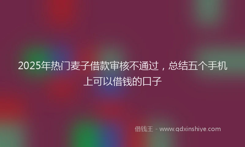 2025年热门麦子借款审核不通过，总结五个手机上可以借钱的口子