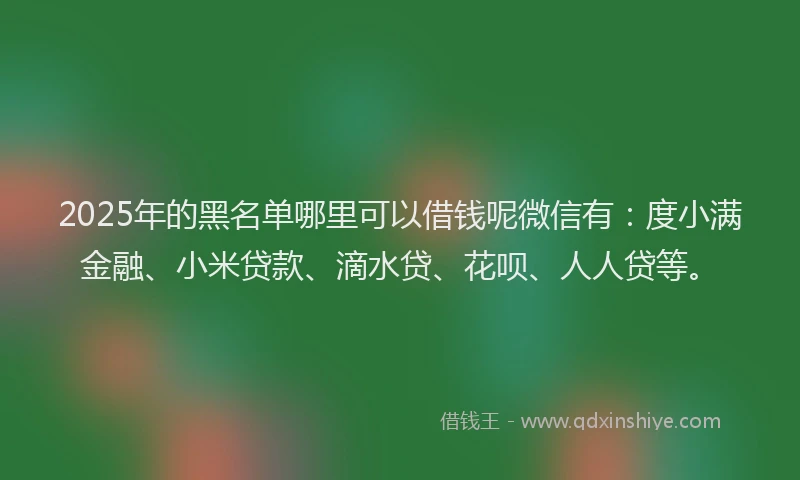 2025年的黑名单哪里可以借钱呢微信有：度小满金融、小米贷款、滴水贷、花呗、人人贷等。