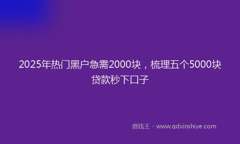 2025年热门黑户急需2000块，梳理五个5000块贷款秒下口子