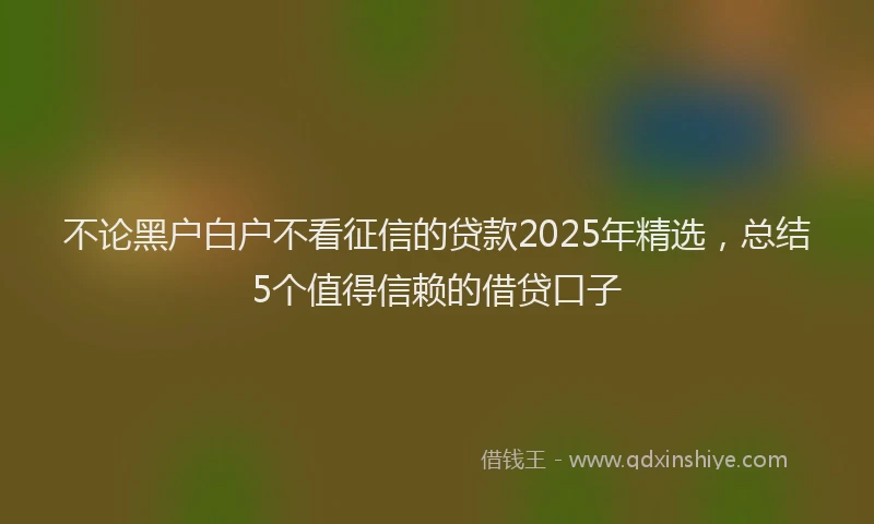不论黑户白户不看征信的贷款2025年精选，总结5个值得信赖的借贷口子