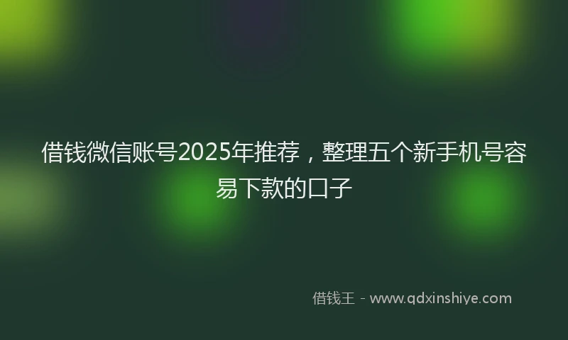 借钱微信账号2025年推荐，整理五个新手机号容易下款的口子