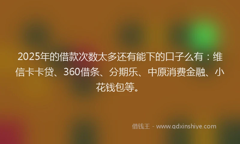 2025年的借款次数太多还有能下的口子么有：维信卡卡贷、360借条、分期乐、中原消费金融、小花钱包等。