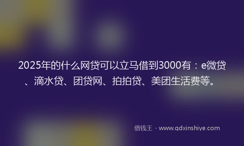 2025年的什么网贷可以立马借到3000有：e微贷、滴水贷、团贷网、拍拍贷、美团生活费等。