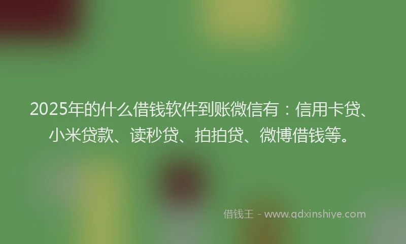 2025年的什么借钱软件到账微信有：信用卡贷、小米贷款、读秒贷、拍拍贷、微博借钱等。