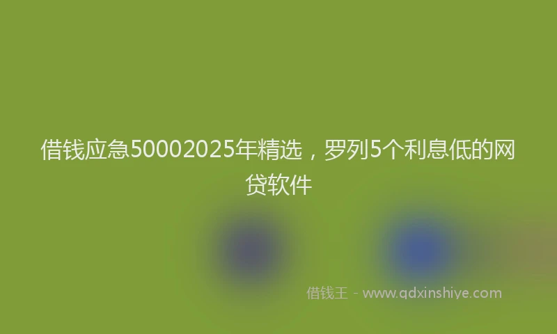 借钱应急50002025年精选，罗列5个利息低的网贷软件