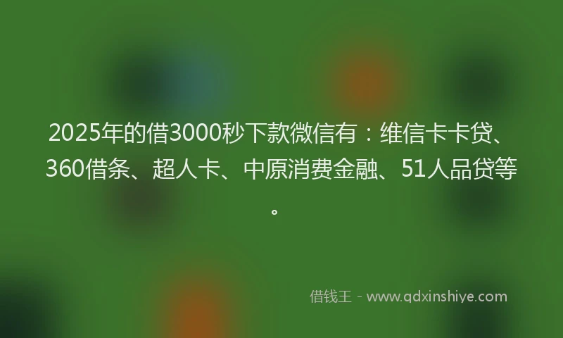 2025年的借3000秒下款微信有：维信卡卡贷、360借条、超人卡、中原消费金融、51人品贷等。