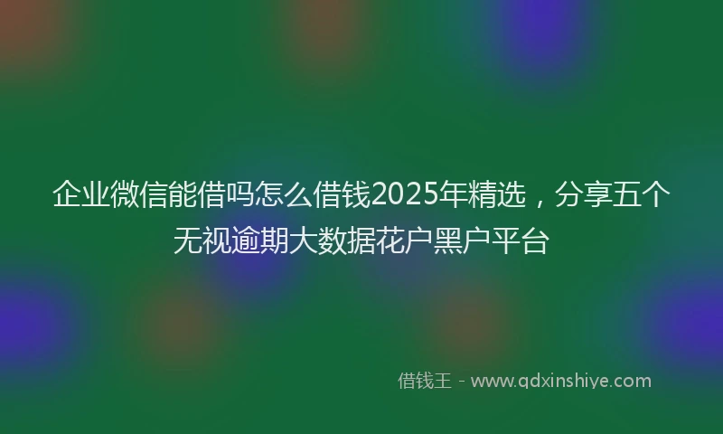 企业微信能借吗怎么借钱2025年精选，分享五个无视逾期大数据花户黑户平台