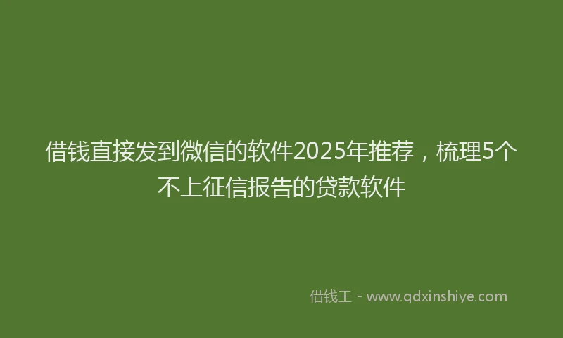 借钱直接发到微信的软件2025年推荐，梳理5个不上征信报告的贷款软件
