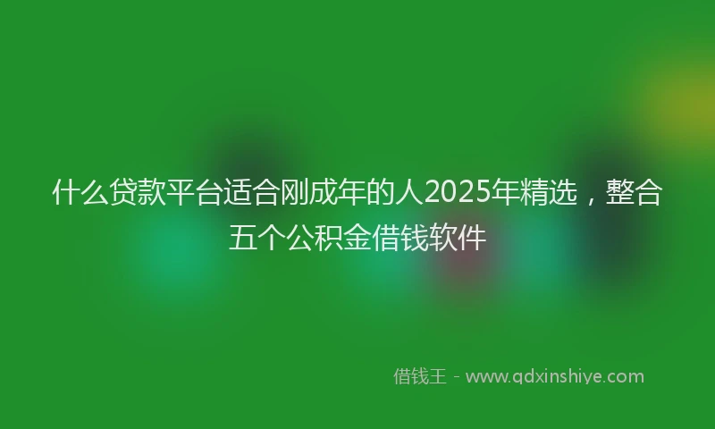 什么贷款平台适合刚成年的人2025年精选，整合五个公积金借钱软件