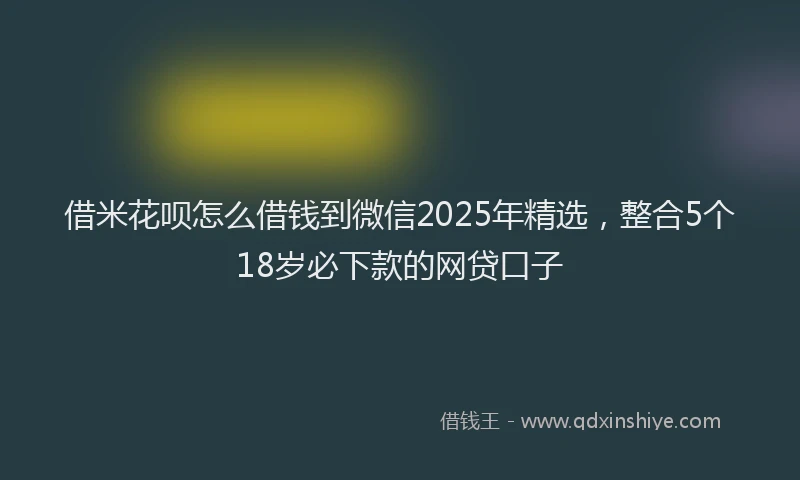 借米花呗怎么借钱到微信2025年精选，整合5个18岁必下款的网贷口子