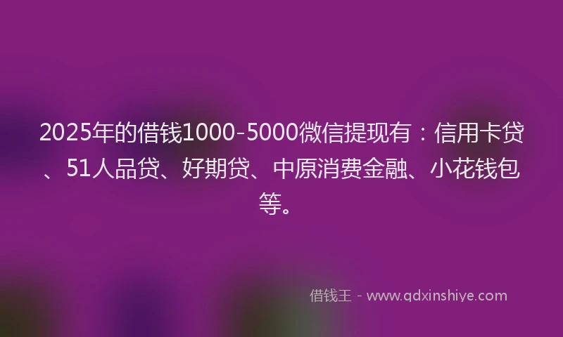 2025年的借钱1000-5000微信提现有：信用卡贷、51人品贷、好期贷、中原消费金融、小花钱包等。