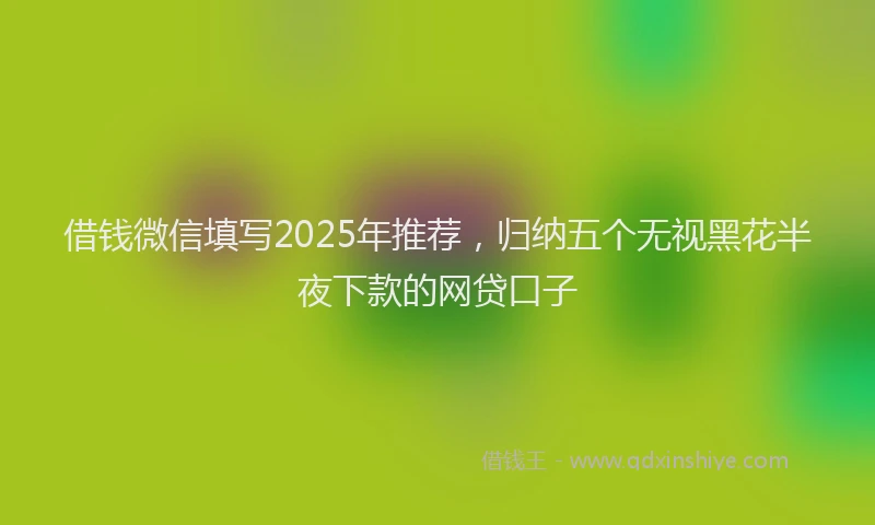 借钱微信填写2025年推荐，归纳五个无视黑花半夜下款的网贷口子