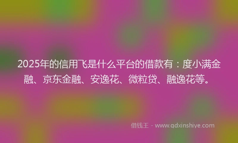 2025年的信用飞是什么平台的借款有：度小满金融、京东金融、安逸花、微粒贷、融逸花等。