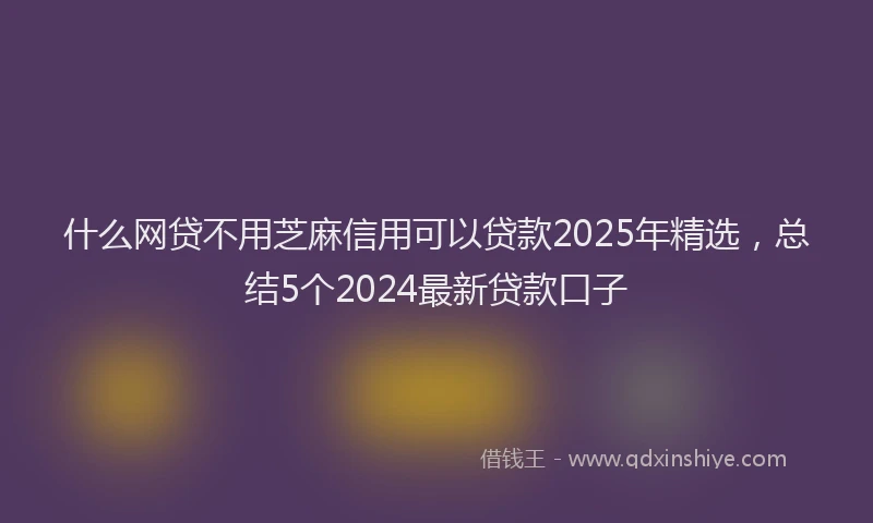 什么网贷不用芝麻信用可以贷款2025年精选，总结5个2024最新贷款口子
