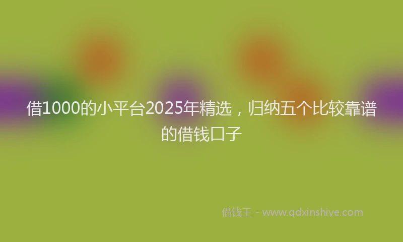 借1000的小平台2025年精选，归纳五个比较靠谱的借钱口子