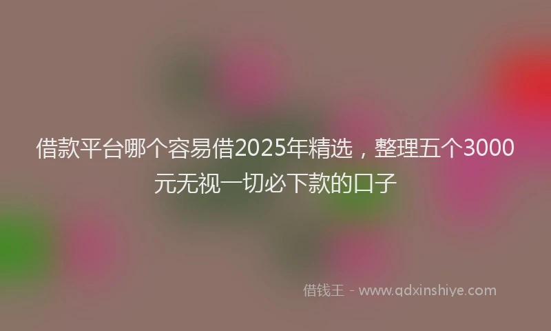 借款平台哪个容易借2025年精选，整理五个3000元无视一切必下款的口子