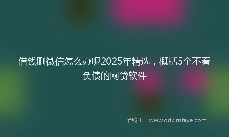 借钱删微信怎么办呢2025年精选，概括5个不看负债的网贷软件