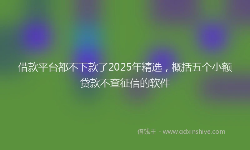 借款平台都不下款了2025年精选，概括五个小额贷款不查征信的软件