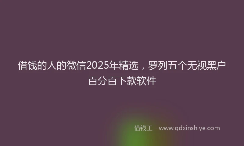 借钱的人的微信2025年精选，罗列五个无视黑户百分百下款软件