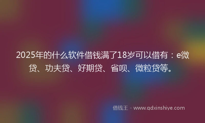 2025年的什么软件借钱满了18岁可以借有：e微贷、功夫贷、好期贷、省呗、微粒贷等。