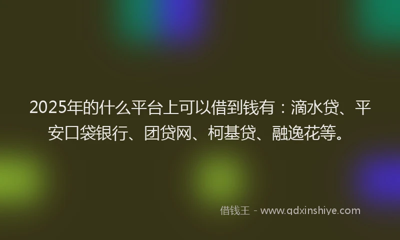 2025年的什么平台上可以借到钱有：滴水贷、平安口袋银行、团贷网、柯基贷、融逸花等。