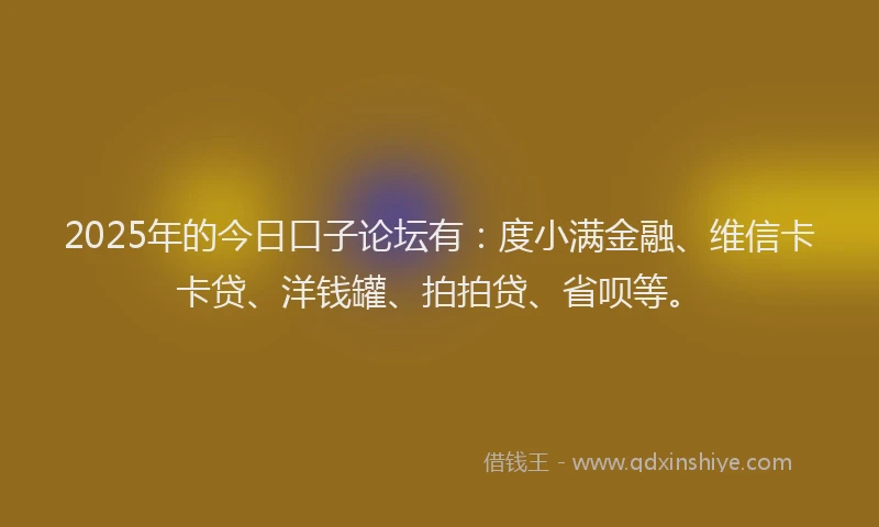 2025年的今日口子论坛有：度小满金融、维信卡卡贷、洋钱罐、拍拍贷、省呗等。