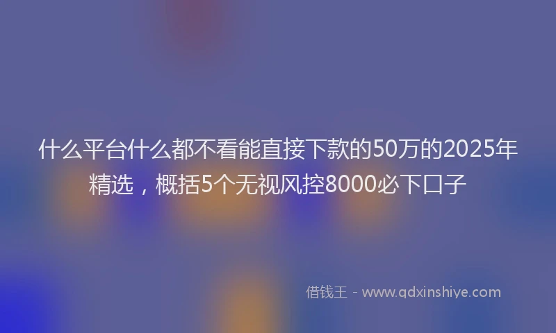 什么平台什么都不看能直接下款的50万的2025年精选，概括5个无视风控8000必下口子