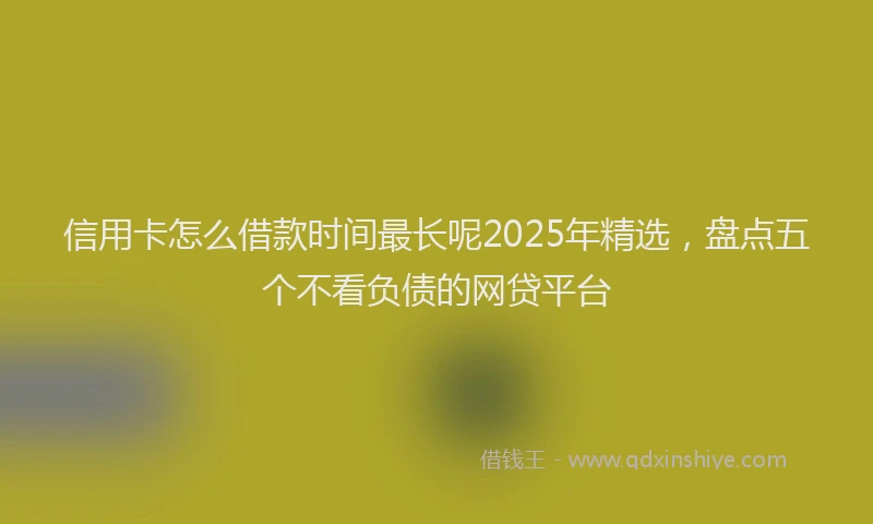 信用卡怎么借款时间最长呢2025年精选，盘点五个不看负债的网贷平台