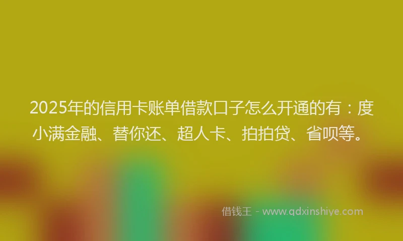 2025年的信用卡账单借款口子怎么开通的有：度小满金融、替你还、超人卡、拍拍贷、省呗等。