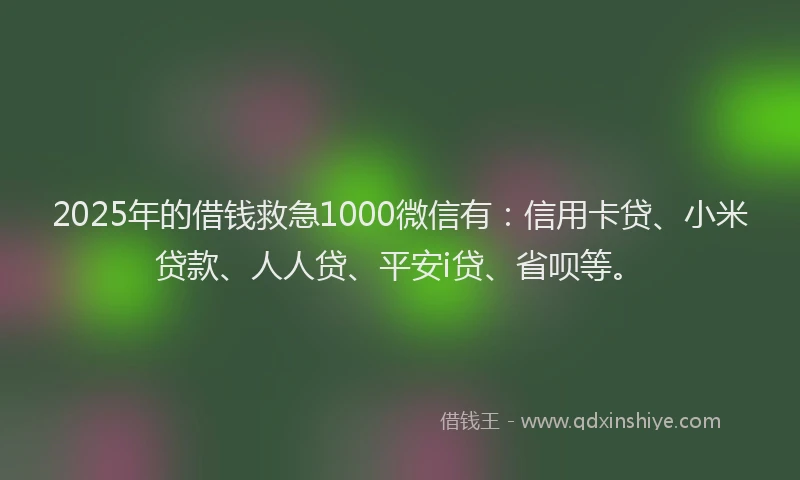 2025年的借钱救急1000微信有：信用卡贷、小米贷款、人人贷、平安i贷、省呗等。