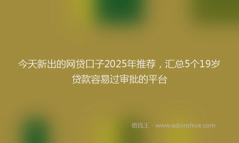 今天新出的网贷口子2025年推荐，汇总5个19岁贷款容易过审批的平台