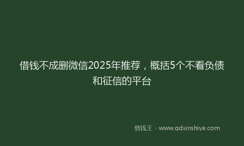 借钱不成删微信2025年推荐，概括5个不看负债和征信的平台