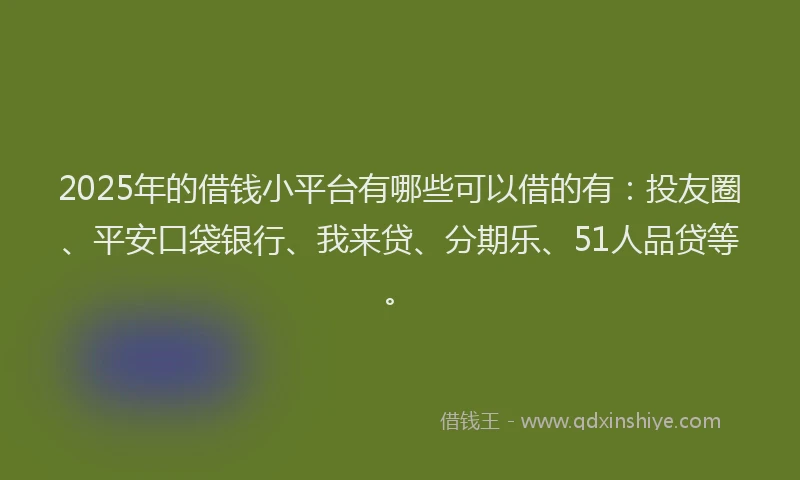 2025年的借钱小平台有哪些可以借的有：投友圈、平安口袋银行、我来贷、分期乐、51人品贷等。