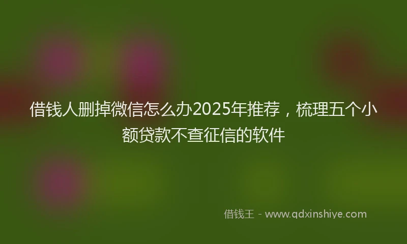 借钱人删掉微信怎么办2025年推荐，梳理五个小额贷款不查征信的软件