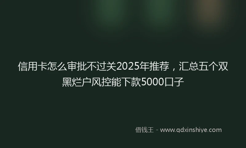 信用卡怎么审批不过关2025年推荐，汇总五个双黑烂户风控能下款5000口子