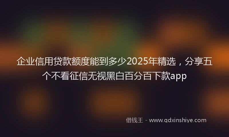 企业信用贷款额度能到多少2025年精选，分享五个不看征信无视黑白百分百下款app