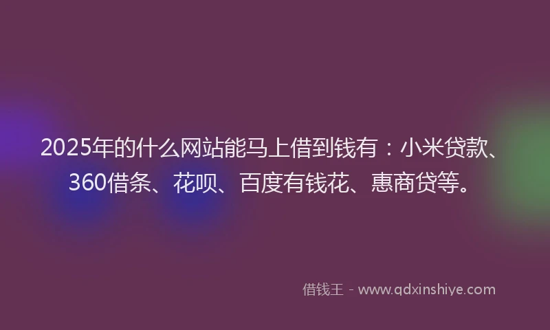 2025年的什么网站能马上借到钱有：小米贷款、360借条、花呗、百度有钱花、惠商贷等。