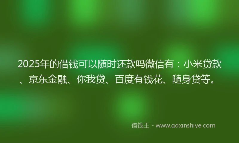 2025年的借钱可以随时还款吗微信有：小米贷款、京东金融、你我贷、百度有钱花、随身贷等。