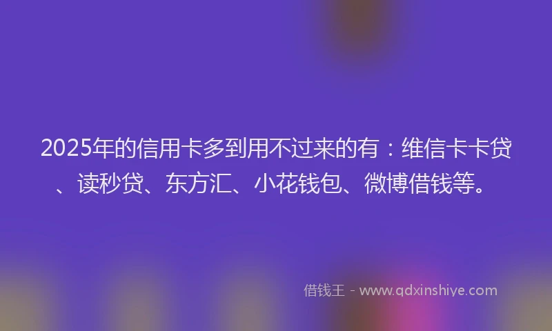 2025年的信用卡多到用不过来的有：维信卡卡贷、读秒贷、东方汇、小花钱包、微博借钱等。