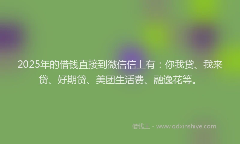 2025年的借钱直接到微信信上有：你我贷、我来贷、好期贷、美团生活费、融逸花等。