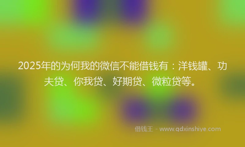 2025年的为何我的微信不能借钱有：洋钱罐、功夫贷、你我贷、好期贷、微粒贷等。