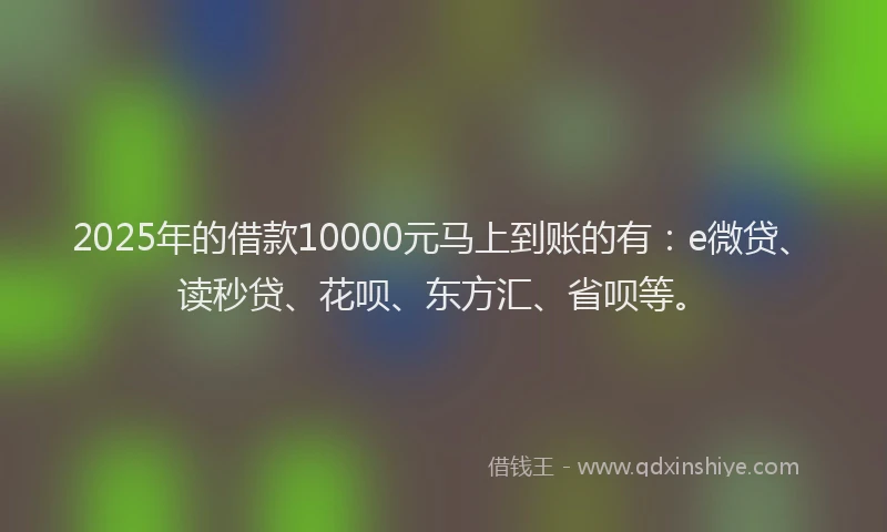 2025年的借款10000元马上到账的有：e微贷、读秒贷、花呗、东方汇、省呗等。