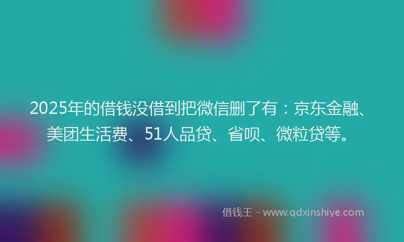 2025年的借钱没借到把微信删了有：京东金融、美团生活费、51人品贷、省呗、微粒贷等。
