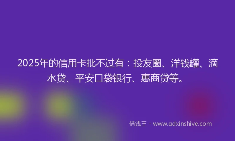 2025年的信用卡批不过有：投友圈、洋钱罐、滴水贷、平安口袋银行、惠商贷等。
