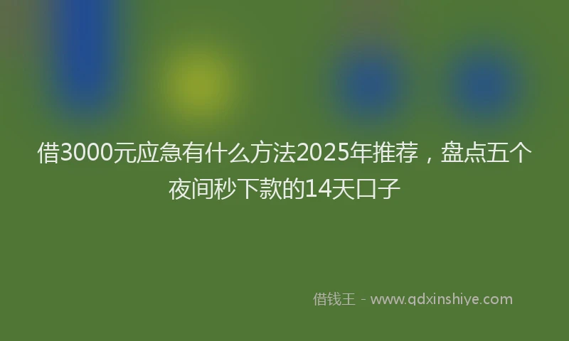 借3000元应急有什么方法2025年推荐，盘点五个夜间秒下款的14天口子