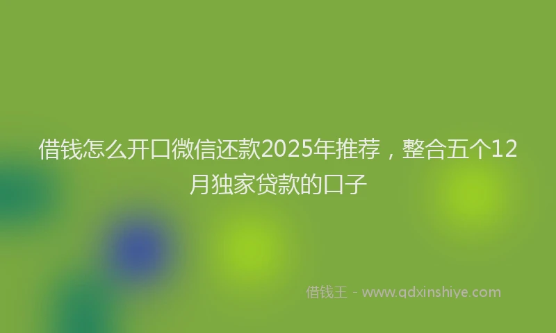 借钱怎么开口微信还款2025年推荐，整合五个12月独家贷款的口子